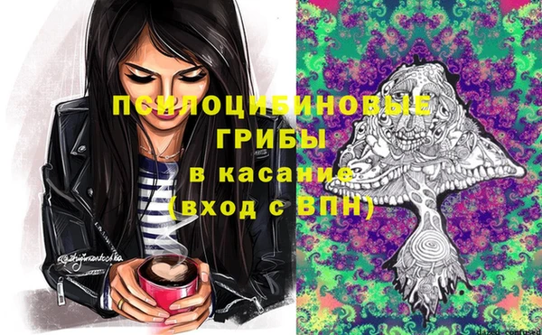 стафф Сатка